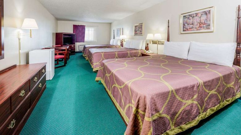 <b>Super 8 Jerseyville Room</b>. Images powered by <a href="https://iceportal.shijigroup.com/" title="IcePortal" target="_blank">IcePortal</a>.