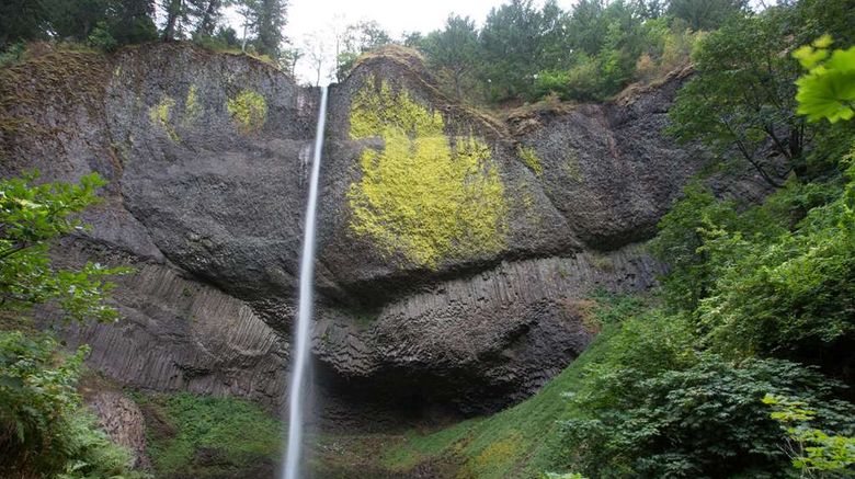<b>Travelodge East Portland/Gresham Other</b>. Images powered by <a href="https://iceportal.shijigroup.com/" title="IcePortal" target="_blank">IcePortal</a>.
