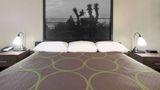 Super 8 Victoria/North/Mall Area Room