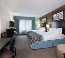 Wingate by Wyndham Garner/Raleigh South Room