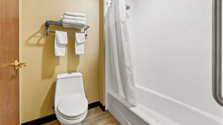 Super 8 Marana/Tucson Area Room