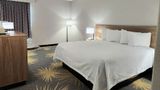 <b>Days Inn LaPlace- New Orleans Room</b>. Images powered by <a href="https://iceportal.shijigroup.com/" title="IcePortal" target="_blank">IcePortal</a>.