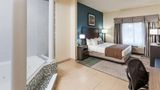 Wingate Schaumburg / Convention Center Suite