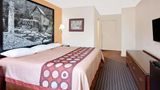Super 8 Hillsville Room