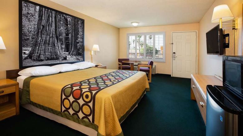 <b>Super 8 Lindsay Olive Tree Room</b>. Images powered by <a href="https://iceportal.shijigroup.com/" title="IcePortal" target="_blank">IcePortal</a>.