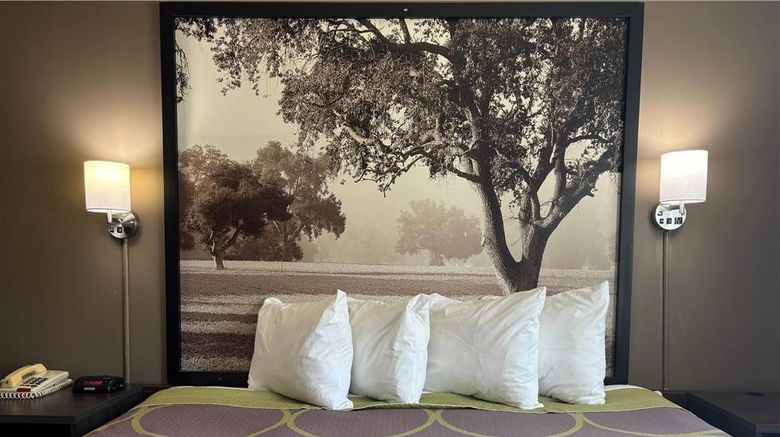 <b>Super 8 Grayville Room</b>. Images powered by <a href="https://iceportal.shijigroup.com/" title="IcePortal" target="_blank">IcePortal</a>.