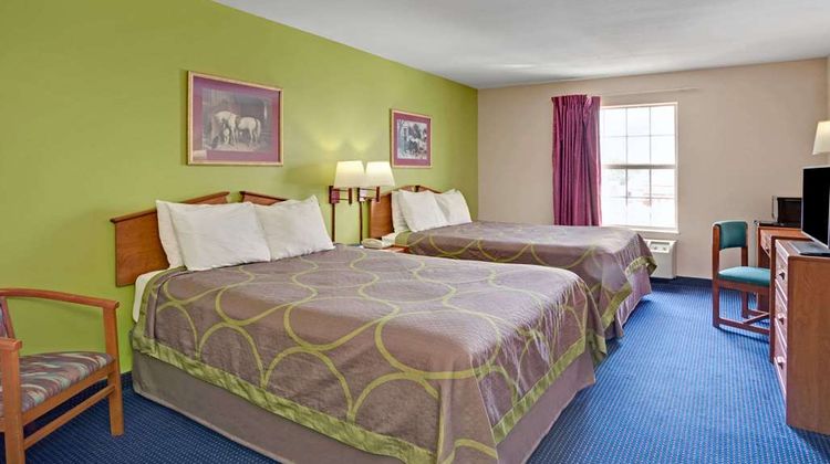 Super 8 Louisville/Expo Center Room