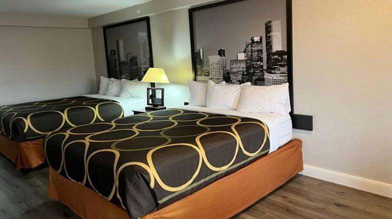 <b>Super 8 Baytown/Mont Belvieu Room</b>. Images powered by <a href="https://iceportal.shijigroup.com/" title="IcePortal" target="_blank">IcePortal</a>.