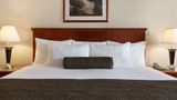 <b>Days Inn & Suites Langley Room</b>. Images powered by <a href="https://iceportal.shijigroup.com/" title="IcePortal" target="_blank">IcePortal</a>.