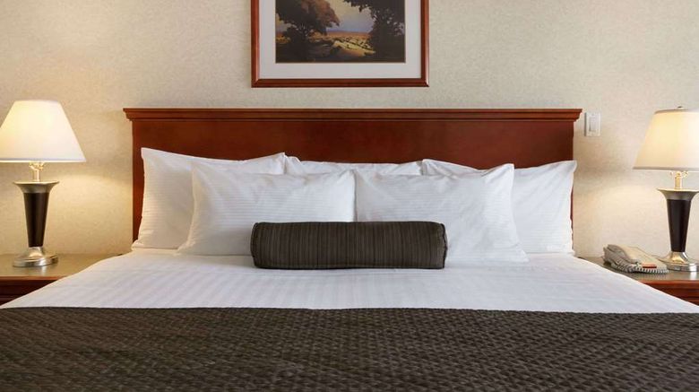 <b>Days Inn & Suites Langley Room</b>. Images powered by <a href="https://iceportal.shijigroup.com/" title="IcePortal" target="_blank">IcePortal</a>.
