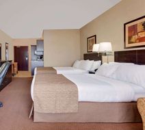 Ramada Stettler Room
