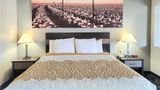 Days Inn Robstown Room