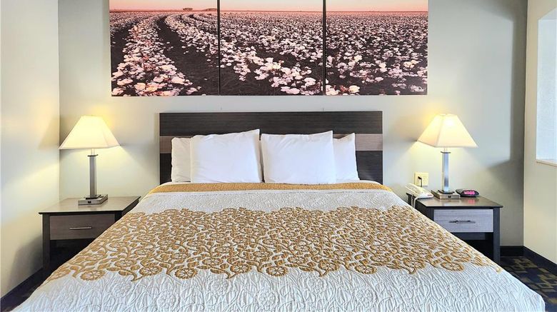 <b>Days Inn Robstown Room</b>. Images powered by <a href="https://iceportal.shijigroup.com/" title="IcePortal" target="_blank">IcePortal</a>.