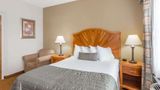 Baymont Inn & Suites Asheville/Biltmore Room