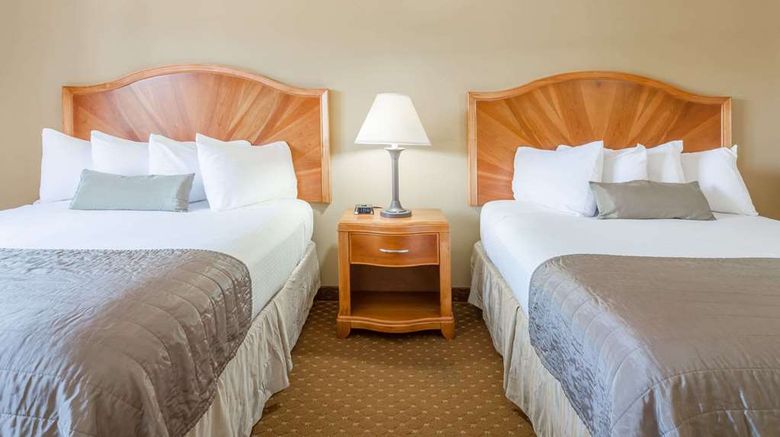 <b>Baymont Inn & Suites Asheville/Biltmore Room</b>. Images powered by <a href="https://iceportal.shijigroup.com/" title="IcePortal" target="_blank">IcePortal</a>.