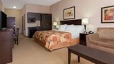 <b>Ramada Brooks Room</b>. Images powered by <a href="https://iceportal.shijigroup.com/" title="IcePortal" target="_blank">IcePortal</a>.