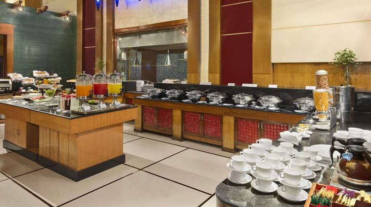 Ramada Jaipur Other