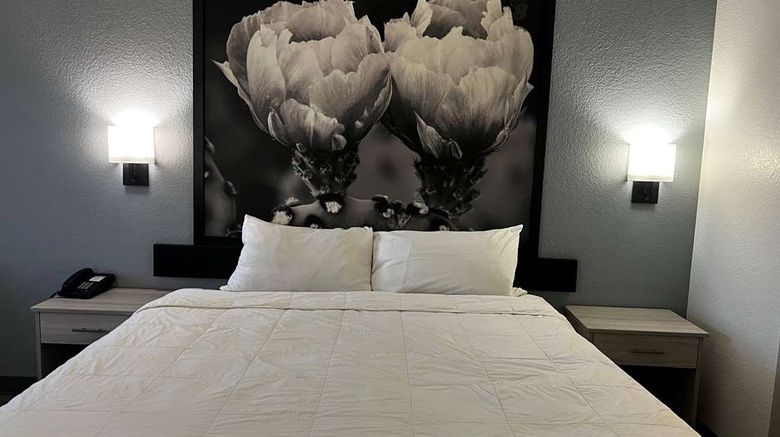 <b>Super 8 Rosenberg Room</b>. Images powered by <a href="https://iceportal.shijigroup.com/" title="IcePortal" target="_blank">IcePortal</a>.