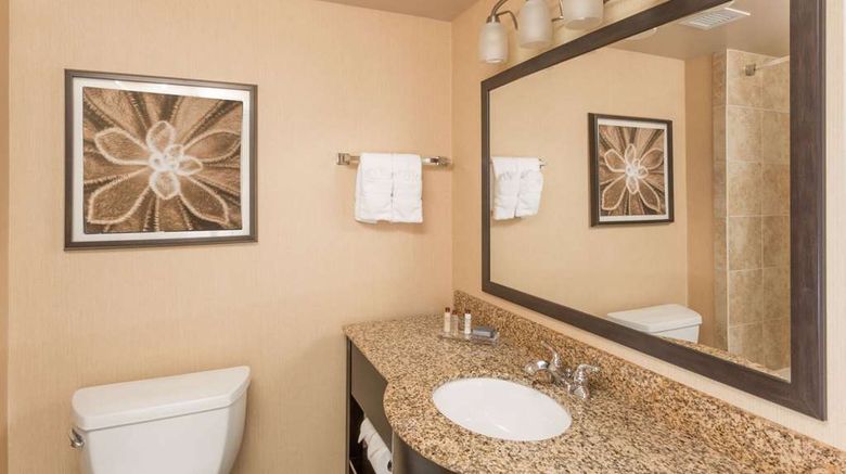<b>Wingate by Wyndham Houma Room</b>. Images powered by <a href="https://iceportal.shijigroup.com/" title="IcePortal" target="_blank">IcePortal</a>.