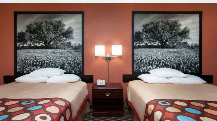 Super 8 Bastrop Hotel Room