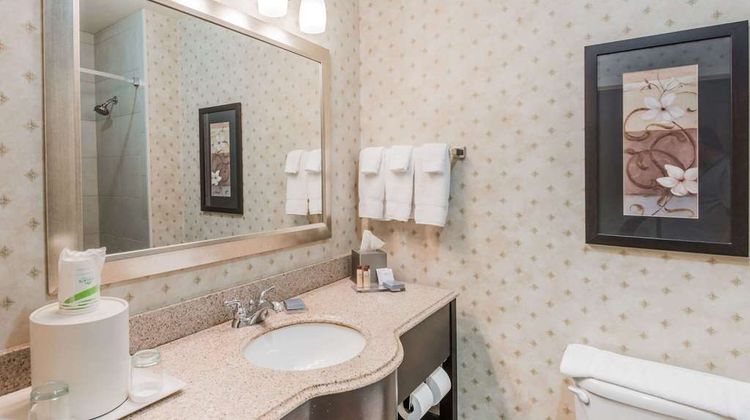 Wingate by Wyndham New Braunfels Room