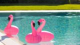 Ramada Plaza Milano Pool
