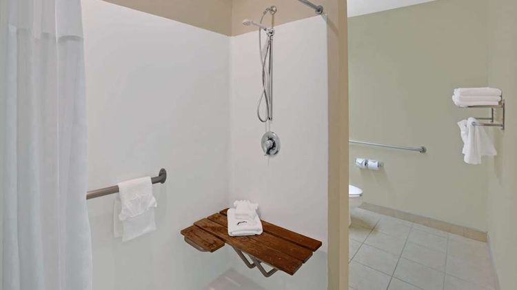Microtel Inn/Suites Charlotte/Univ Place Room