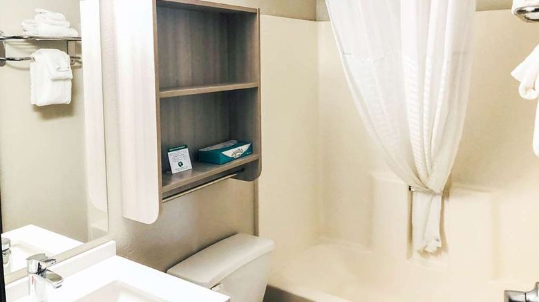 <b>Microtel Inn & Suites Eagan/St Paul Room</b>. Images powered by <a href="https://iceportal.shijigroup.com/" title="IcePortal" target="_blank">IcePortal</a>.