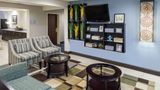 <b>Microtel Inn & Suites Greenville Lobby</b>. Images powered by <a href="https://iceportal.shijigroup.com/" title="IcePortal" target="_blank">IcePortal</a>.