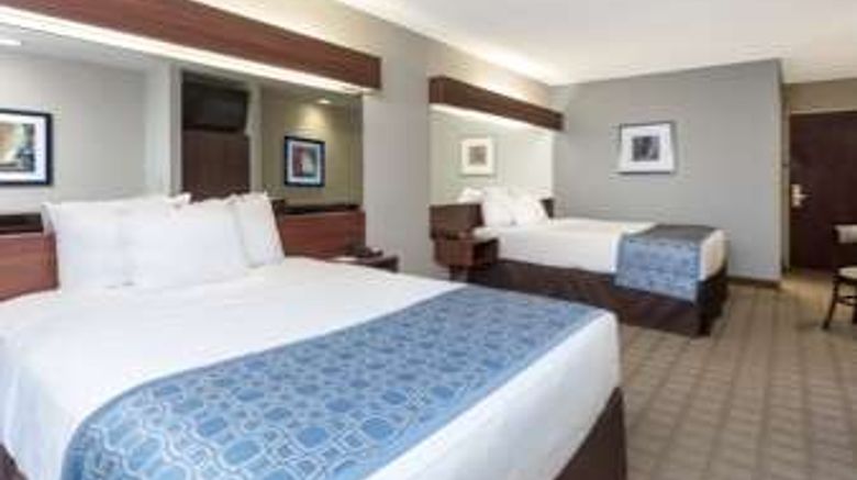 <b>Microtel Inn & Suites Greenville Room</b>. Images powered by <a href="https://iceportal.shijigroup.com/" title="IcePortal" target="_blank">IcePortal</a>.