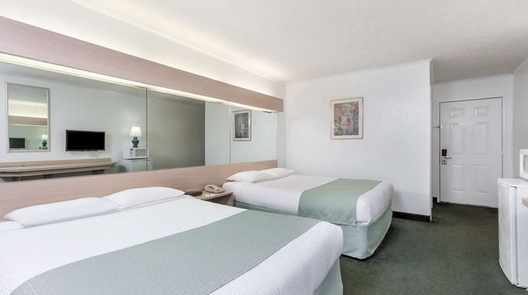Microtel Inn & Suites by Wyndham Athens Room