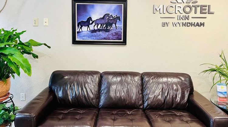 Microtel Inn & Suites Georgetown Lobby