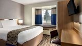<b>Microtel Inn & Suites Baton Rouge Room</b>. Images powered by <a href="https://iceportal.shijigroup.com/" title="IcePortal" target="_blank">IcePortal</a>.