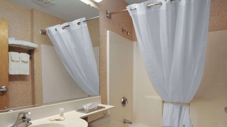 <b>Microtel Inn & Suites Baldwinsville Room</b>. Images powered by <a href="https://iceportal.shijigroup.com/" title="IcePortal" target="_blank">IcePortal</a>.