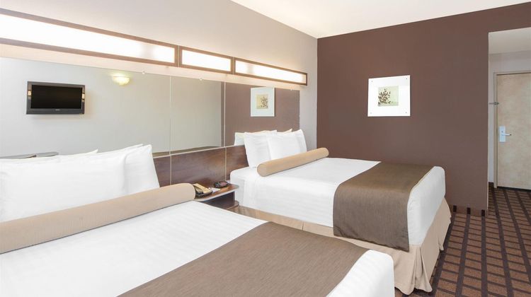 Microtel Inn & Suites by Wyndham Quincy Room