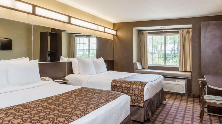 Microtel Inn & Suites JAX Airport Room