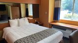 Microtel Inn & Suites,Newport News Arpt Room