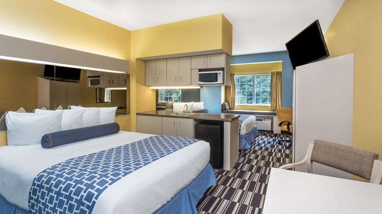Microtel Inn & Suites Stockbridge Room