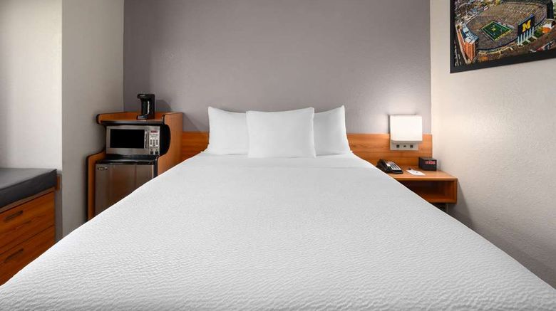 <b>Microtel Inn & Suites Ann Arbor Room</b>. Images powered by <a href="https://iceportal.shijigroup.com/" title="IcePortal" target="_blank">IcePortal</a>.