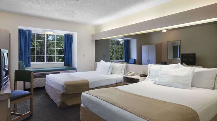 Microtel Inn & Suites Palm Coast Room