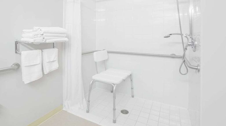 <b>Microtel Inn & Suites Manistee Room</b>. Images powered by <a href="https://iceportal.shijigroup.com/" title="IcePortal" target="_blank">IcePortal</a>.