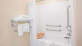 <b>Microtel Inn & Suites Albertville Room</b>. Images powered by <a href="https://iceportal.shijigroup.com/" title="IcePortal" target="_blank">IcePortal</a>.