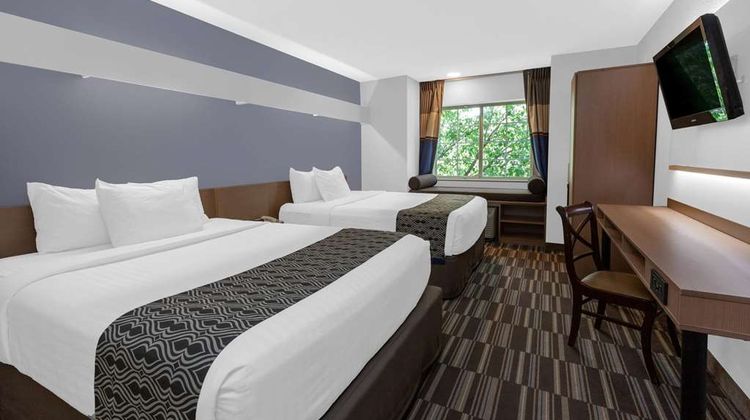 Microtel Inn & Suites BWI Airport Room