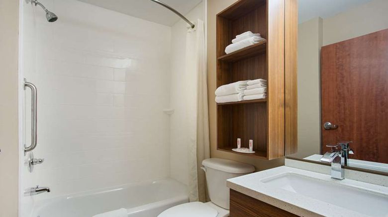 <b>Microtel Inn & Suites Walterboro Room</b>. Images powered by <a href="https://iceportal.shijigroup.com/" title="IcePortal" target="_blank">IcePortal</a>.