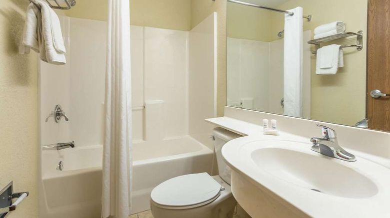 <b>Microtel Inn & Suites by Wyndham Ocala Room</b>. Images powered by <a href="https://iceportal.shijigroup.com/" title="IcePortal" target="_blank">IcePortal</a>.
