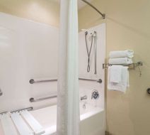 Microtel Inn & Suites by Wyndham Ocala Room
