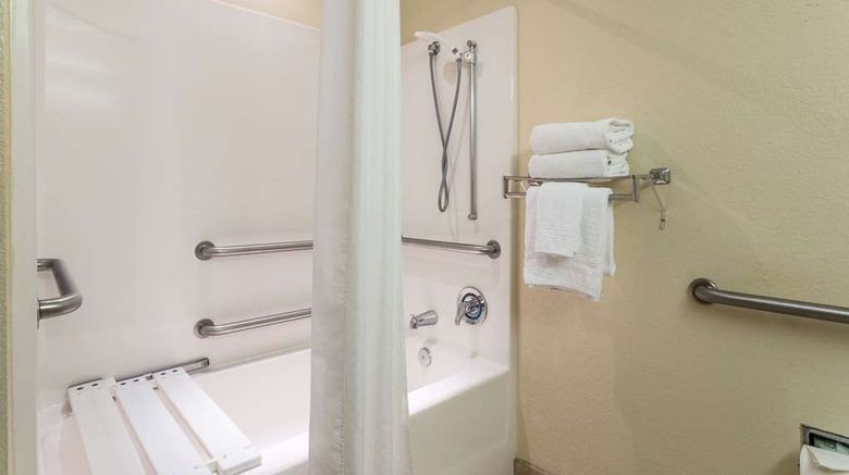 <b>Microtel Inn & Suites by Wyndham Ocala Room</b>. Images powered by <a href="https://iceportal.shijigroup.com/" title="IcePortal" target="_blank">IcePortal</a>.