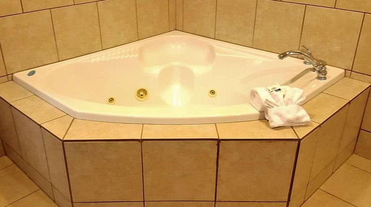 Microtel Inn & Suites Bellevue Room