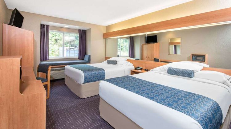 Microtel Inn & Suites by Wyndham Room