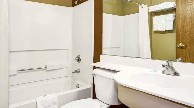 Microtel Inn & Suites by Wyndham Mason Room